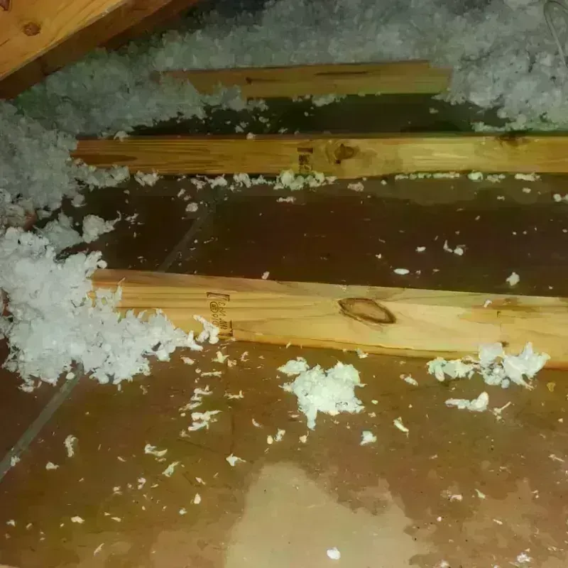 Attic Water Damage in Union City, PA